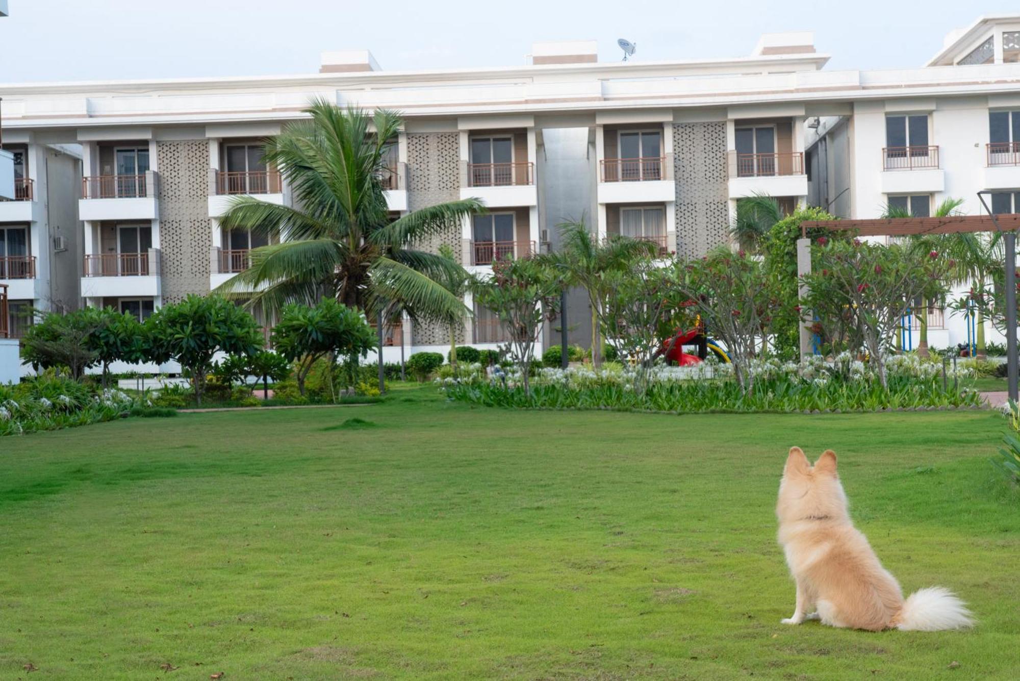Palm Regal Resort Gopalpur  Bagian luar foto