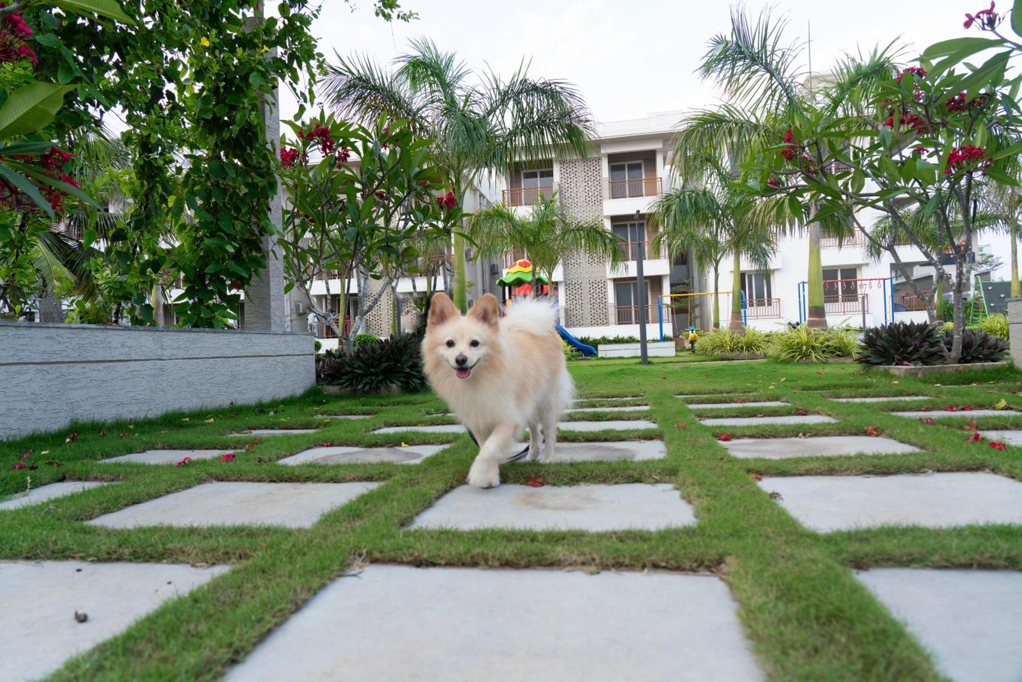 Palm Regal Resort Gopalpur  Bagian luar foto